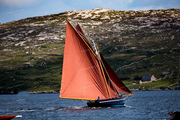 FéileCillChiaráin16-0428