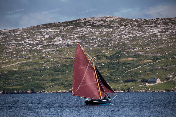 FéileCillChiaráin16-0556