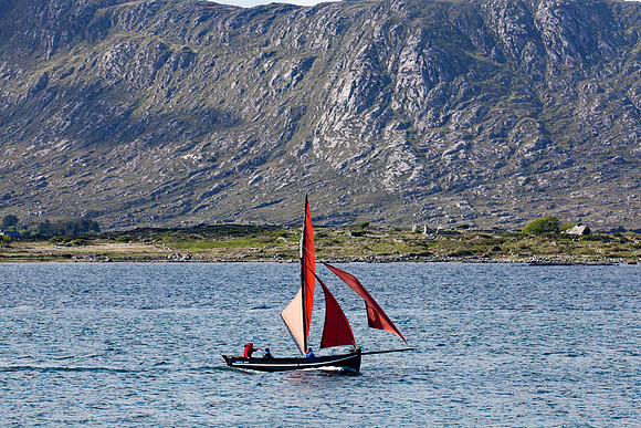 FeileRosMuc01_16-0097