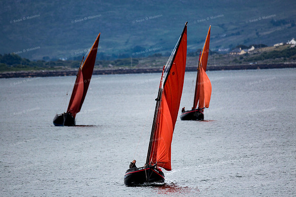 FéileCillChiaráin16-0032