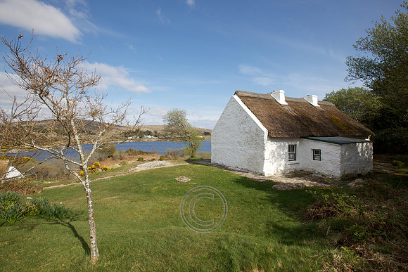 PearseCottage 499