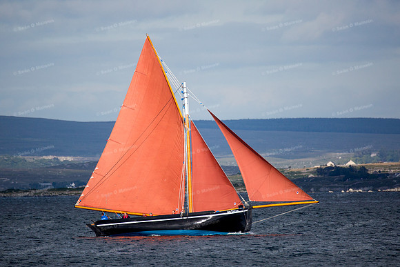 FéileCillChiaráin16-0545