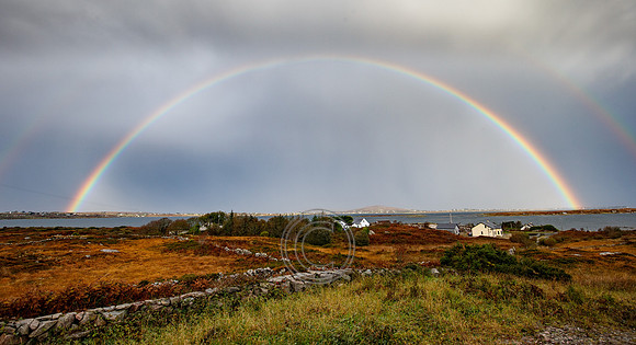 Connemara Rainbow Cuileán-0127
