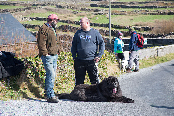 InisMeáin-0129