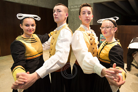 International Pan Celtic Festival Carlow
