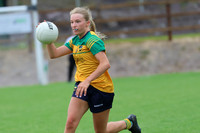 CLANN NA nGAEL V N FIONNBARRA-121