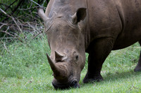05 TEMBO SEAN SUNDAY-0029