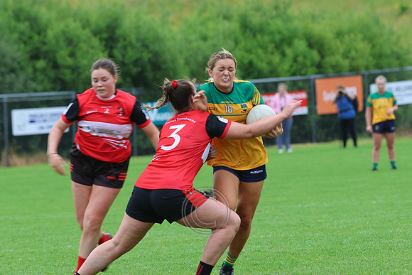 CLANN NA nGAEL V N FIONNBARRA-241