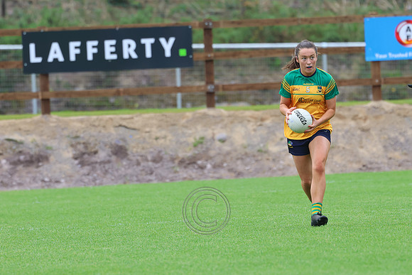 CLANN NA nGAEL V N FIONNBARRA-151