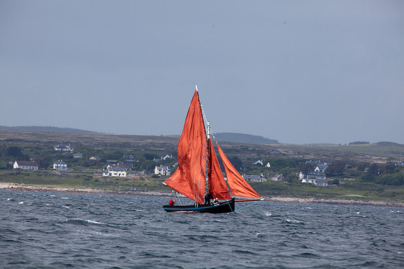 FeileBadSpid14-5458