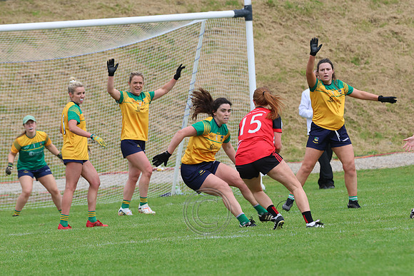 CLANN NA nGAEL V N FIONNBARRA-407
