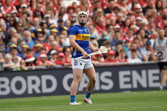 TIPP V CORK PLAY-0380
