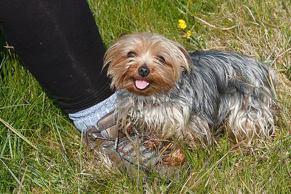 Tismeáin-0629