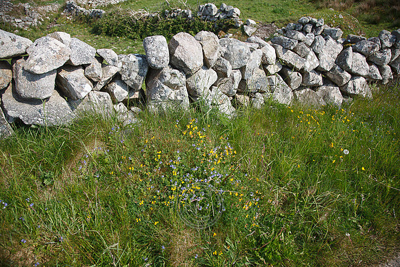 Tismeáin-0643