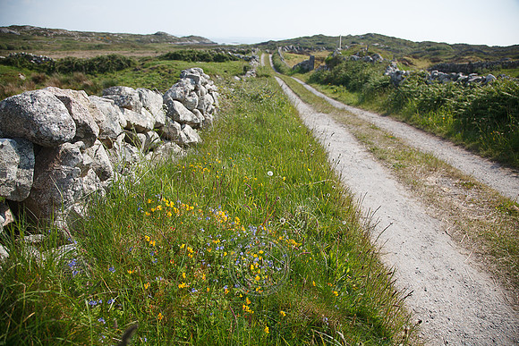 Tismeáin-0645