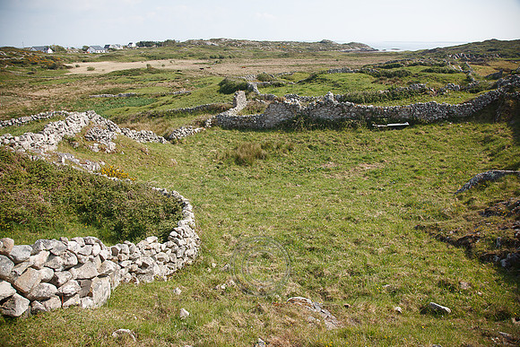 Tismeáin-0647