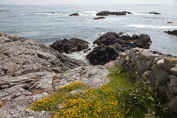 Tismeáin-0586