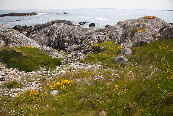 Tismeáin-0589