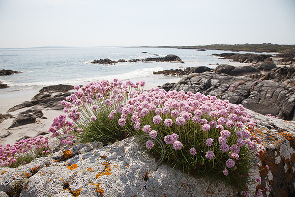 Tismeáin-0592