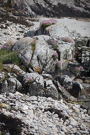 Tismeáin-0595