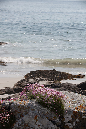 Tismeáin-0600