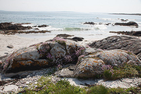 Tismeáin-0612