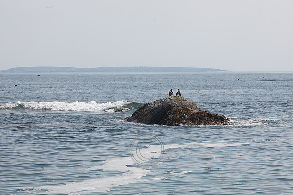 Tismeáin-0624