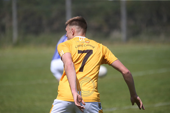 CARNA CAISEAL V GAEIL FHÁNADA-349