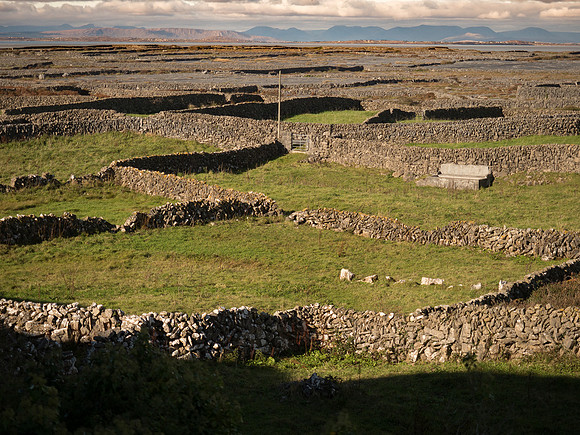 ÉigseDara-080731