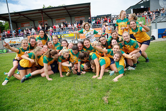 CLANN NA nGAEL V N FIONNBARRA-672