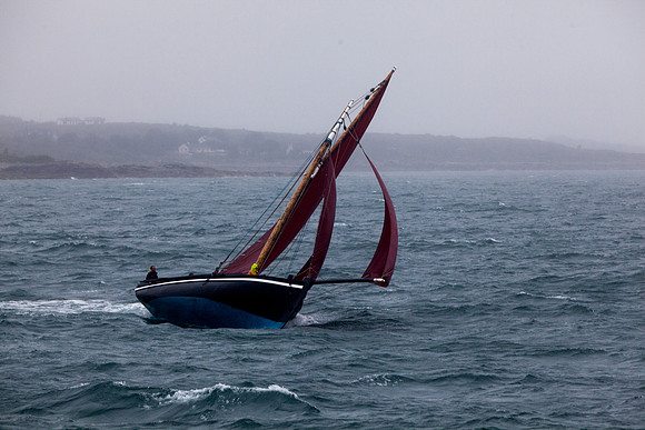 FéileRosamhil14_02-0142