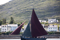 Féile_CnaRón2_14-8332