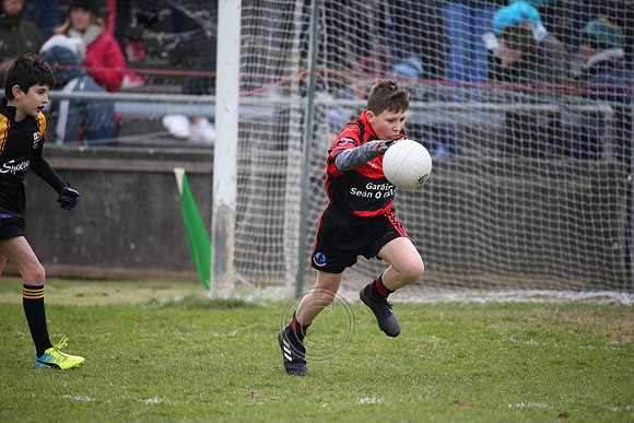 DublinvGalway-0214