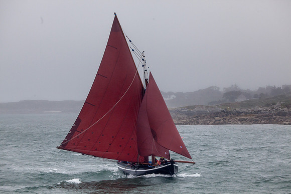 FéileRosamhil14_02-0182