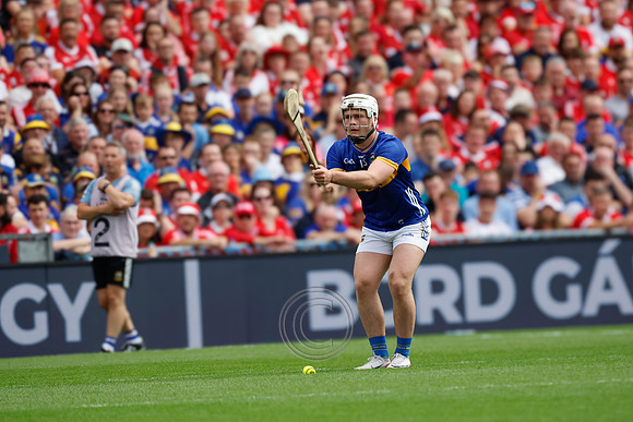 TIPP V CORK PLAY-0383