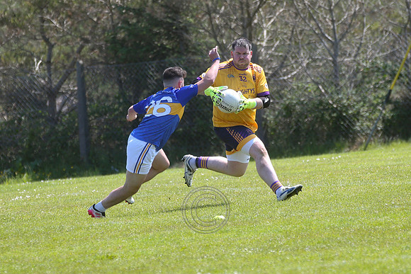 RINN V BHULF TÓN-308