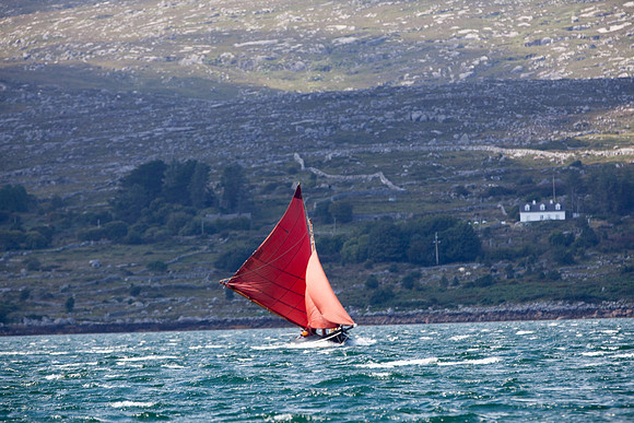 Féile_RosMuc14-0024