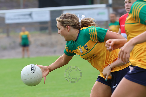 CLANN NA nGAEL V N FIONNBARRA-7