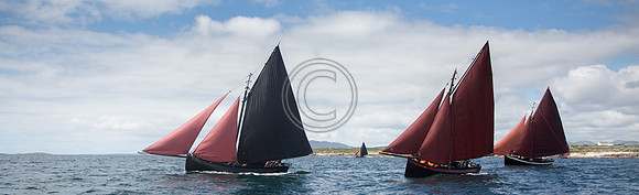 Gleoteogai 605x185