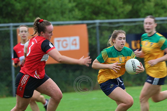 CLANN NA nGAEL V N FIONNBARRA-209