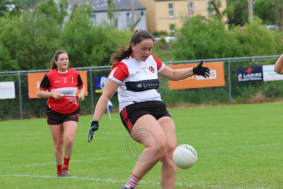 CLANN NA nGAEL V N FIONNBARRA-207