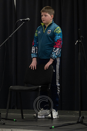 CEILIÚRADH NA N-ÓG-480