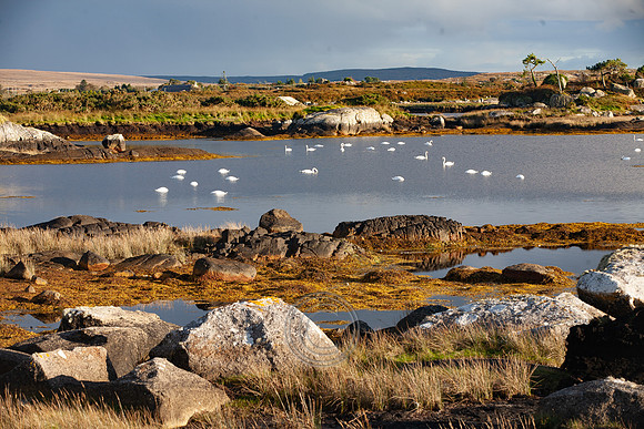 Conamara Éagsuil-3