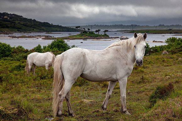 Conamara Éagsuil