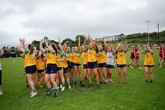 CLANN NA nGAEL V N FIONNBARRA-603