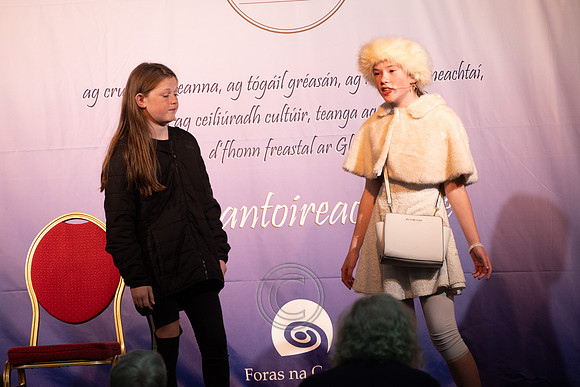 OIREACHTAS DÉARDAOIN-0724