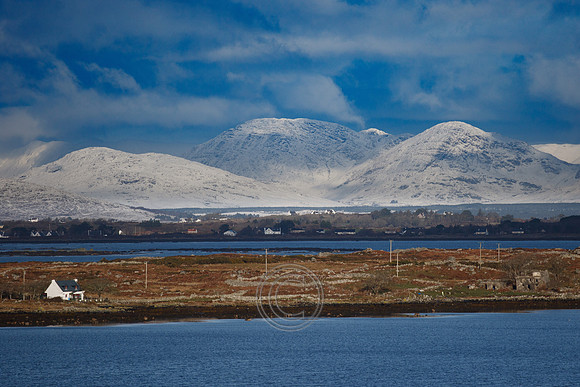 SNEACHTA 2021-0225