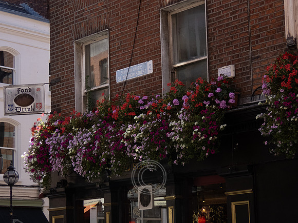 DUBLIN PHOTOGRAPHY-5233