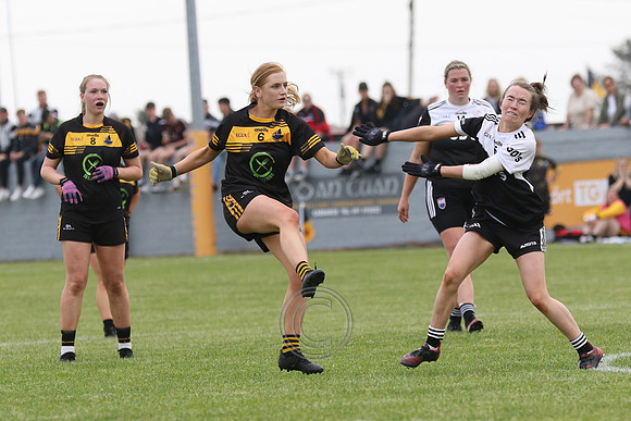 COILL CHOMÁIN V NAOMH ANN LEITIR MÓIR-50