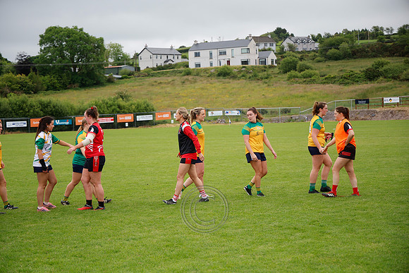 CLANN NA nGAEL V N FIONNBARRA-598